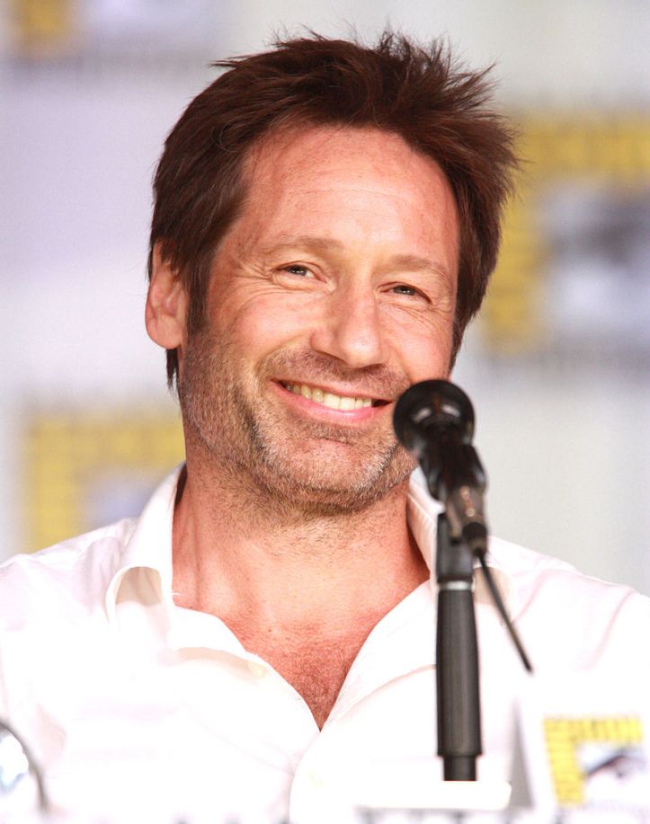 800px-David_Duchovny_by_Gage_Skidmore