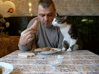 man and cat and sausage